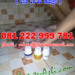 Obat Penggugur Kandungan ( Cytotec Gastrul ) Obat Aborsi Asli Gugurkan Kehamilan Usia Janin 1-8 Bulan dengan Alami