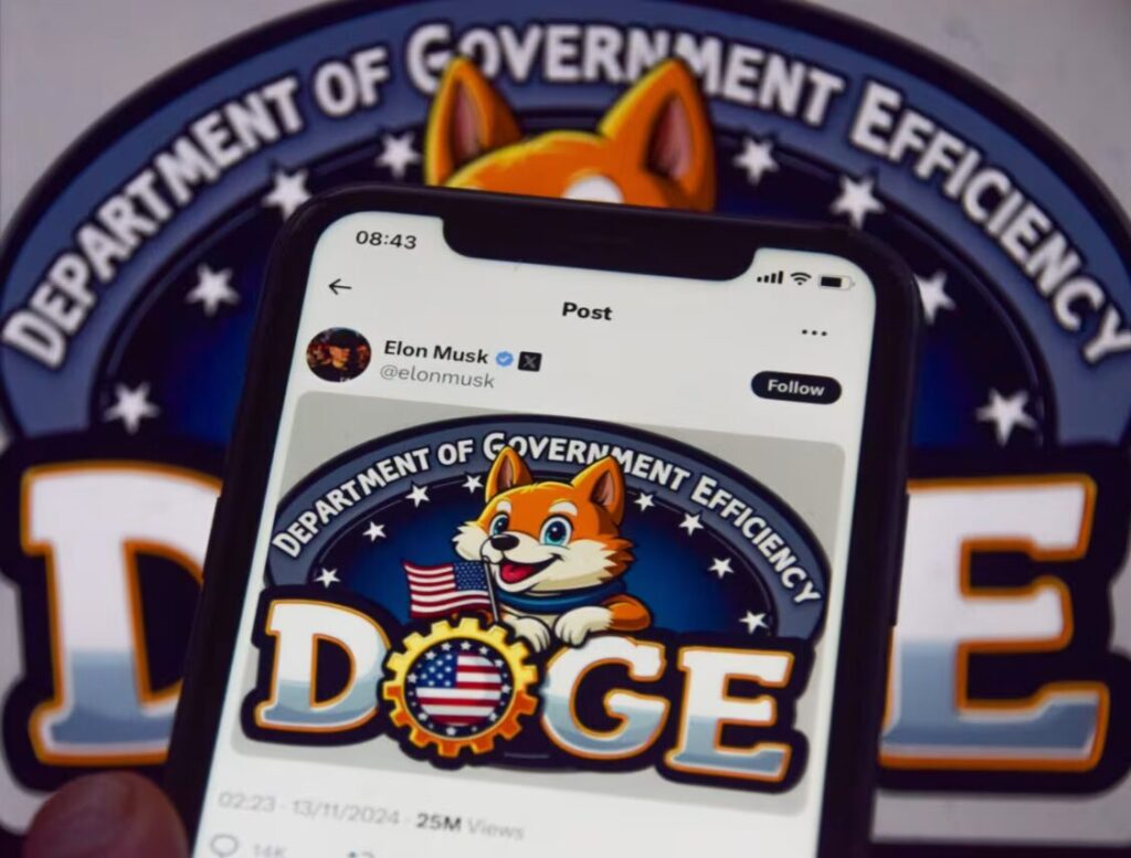 Department of Government Efficiency News